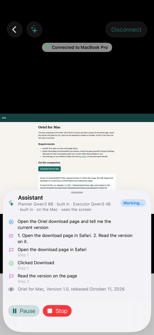 The assistant panel listing the steps it takes on the Mac